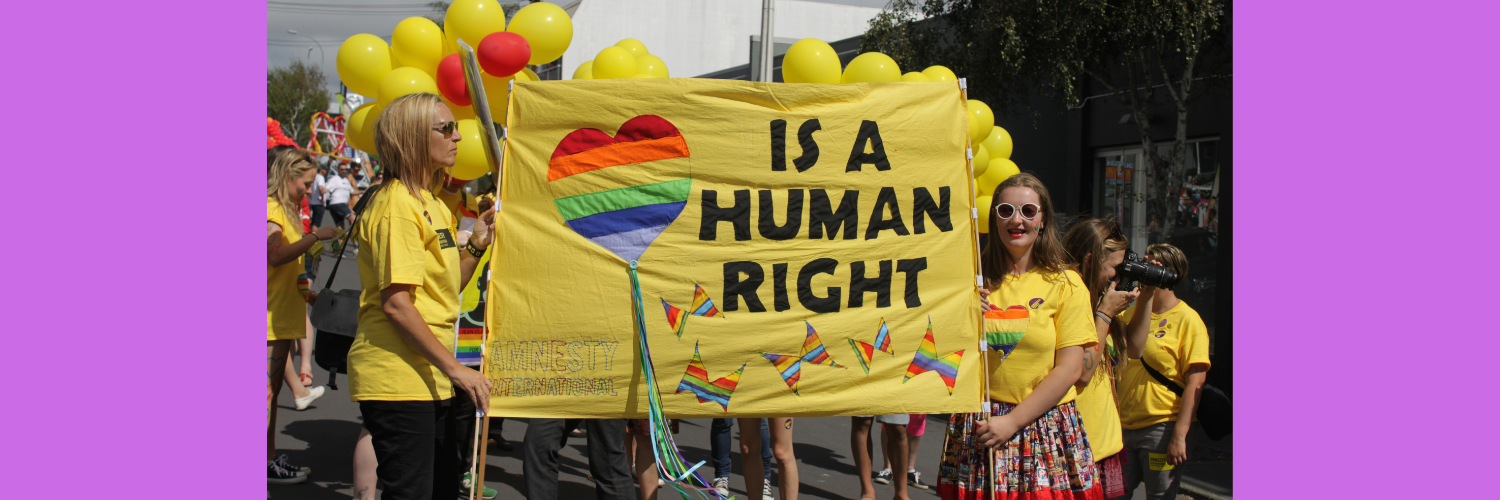 Alanı Savunmak: LGBTİ+’ların Örgütlenme Özgürlüğü- Webinar 